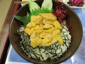 うに丼 うに丼