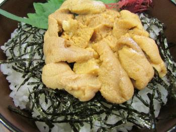 ウニ丼 ウニ丼