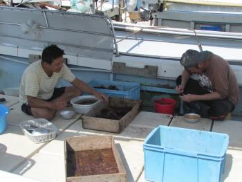 うに製造 うに製造