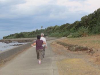 ウォーキング ウォーキング