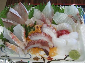 刺身定食 刺身定食