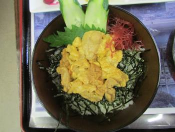 うに丼 うに丼