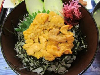 ウニ丼 ウニ丼