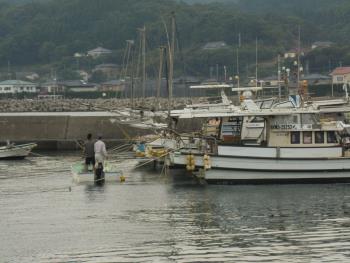 台風つなぎ 台風つなぎ