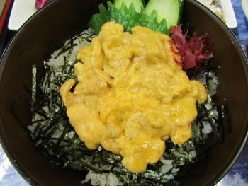 うに丼 うに丼