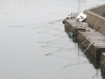 台風対策 台風対策