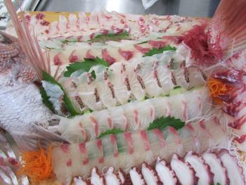 刺身食べ放題 刺身食べ放題