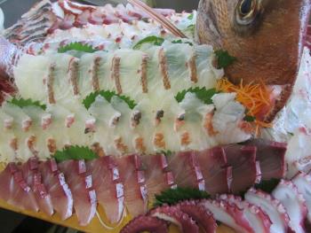 刺身食べ放題 刺身食べ放題