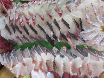 刺身食べ放題 刺身食べ放題