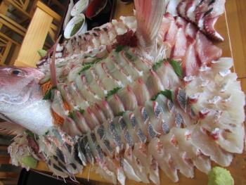 刺身食べ放題 刺身食べ放題