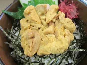 ウニ丼 ウニ丼