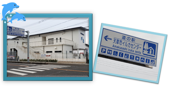 イルカセンター標識 イルカセンター標識