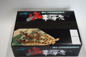 化粧箱 新 化粧箱 新