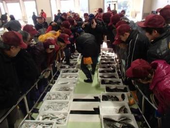 本渡魚市場 本渡魚市場