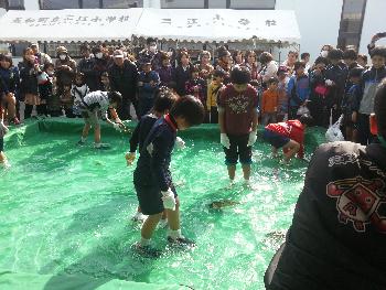 魚のつかみ取り 魚のつかみ取り