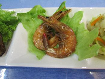 シマエビ シマエビ