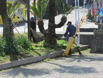 ボランティア ボランティア