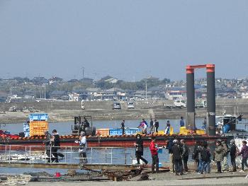 ワカメ揚げとイルカ ワカメ揚げとイルカ