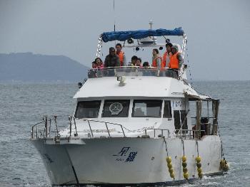 イルカウォッチング イルカウォッチング