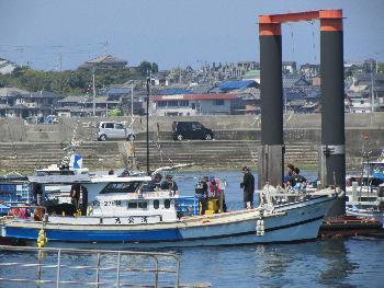 ワカメかけ ワカメかけ