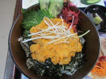 うに丼 うに丼