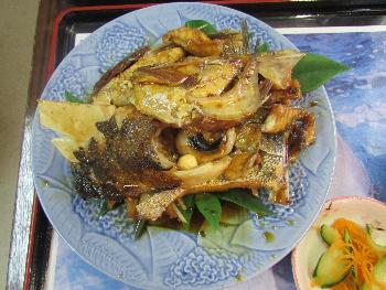 日替わり定食 日替わり定食