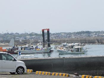 トサカかけ トサカかけ