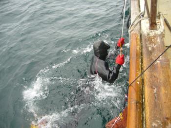 ウニ取り ウニ取り