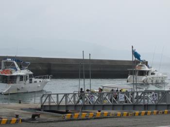 イルカウォッチング イルカウォッチング