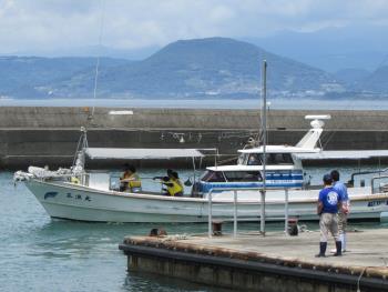 イルカウォッチング イルカウォッチング