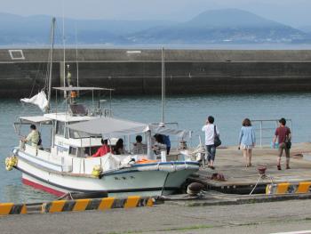 イルカウォッチング イルカウォッチング