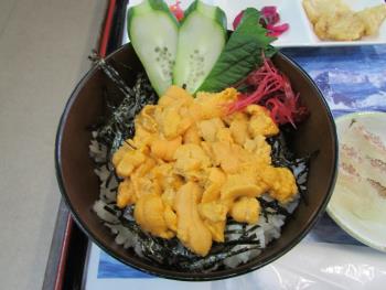 ウニ丼 ウニ丼