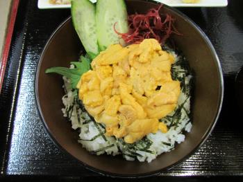 ウニ丼 ウニ丼
