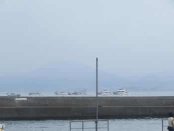 イルカウォッチング イルカウォッチング