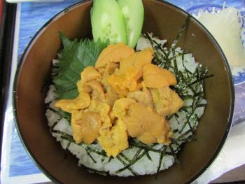ウニ丼 ウニ丼