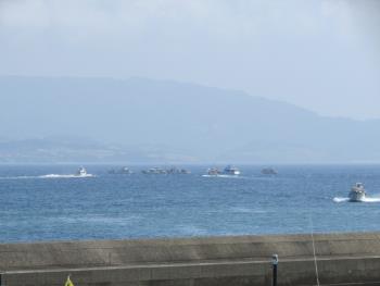 イルカウォッチング イルカウォッチング