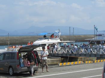 イルカウォッチング イルカウォッチング