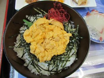 ウニ丼 ウニ丼