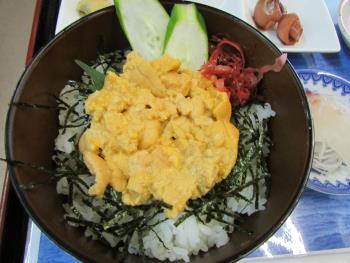 ウニ丼 ウニ丼