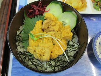 ウニ丼 ウニ丼