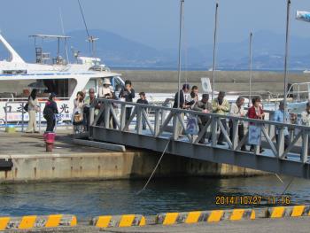 イルカウォッチング イルカウォッチング