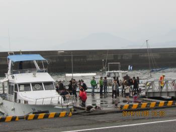 イルカウォッチング イルカウォッチング