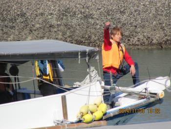 イルカウォッチング イルカウォッチング