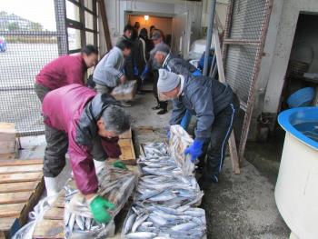 エサ積み エサ積み