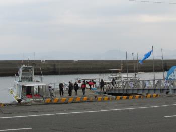 イルカウォッチング イルカウォッチング