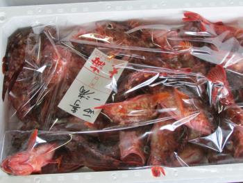 ガラカブ ガラカブ