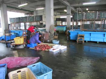 ガラカブ ガラカブ