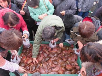 詰め放題 詰め放題