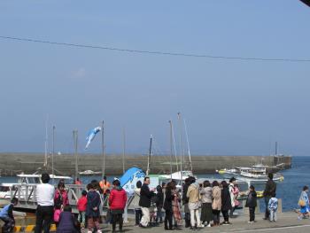 イルカウォッチング イルカウォッチング