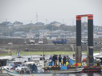 ワカメかけ ワカメかけ